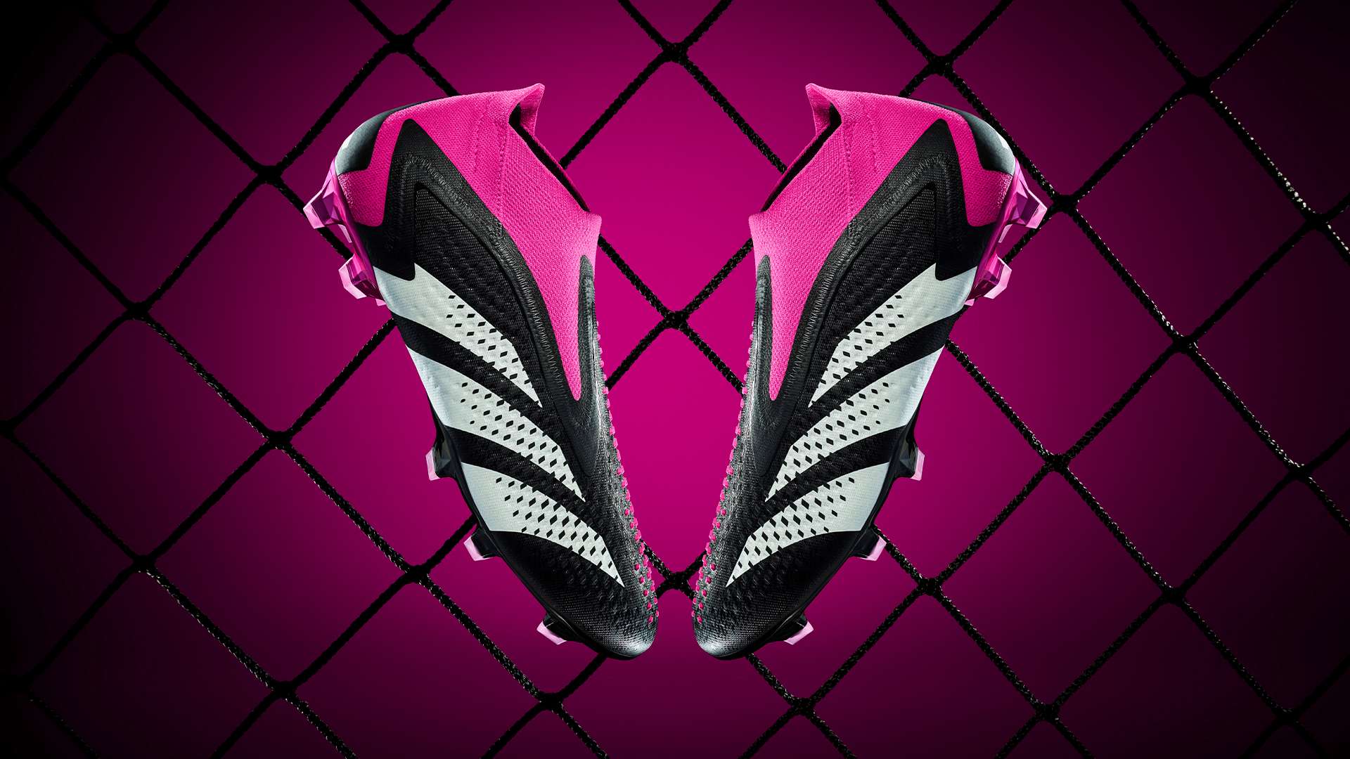 引进这位法 引进这位法